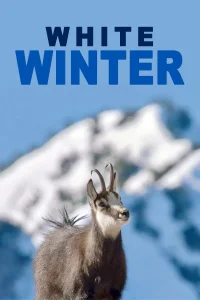 Un hiver dans les Alpes