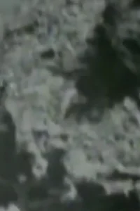 رمان دوندۀ هندی