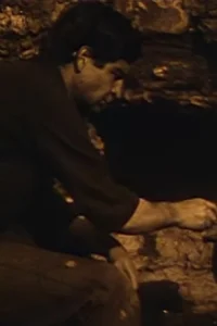 برادر بیل