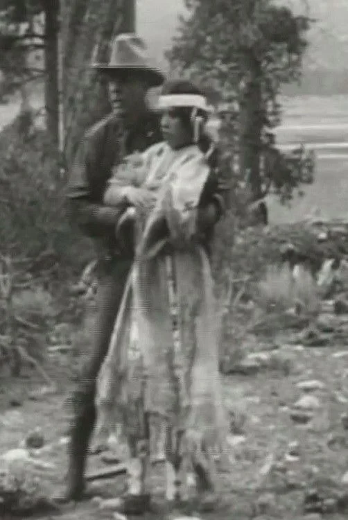 رمان کبوتر کوچک