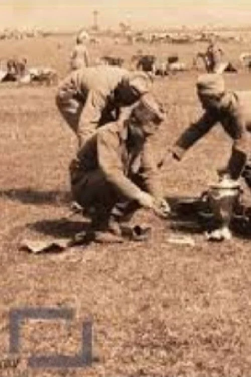 دوازدهمین لشکر سواره نظام