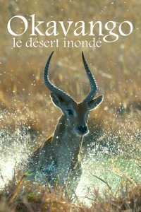 El desierto inundado