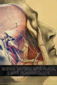 باتری من ضعیف است و دیروقت است