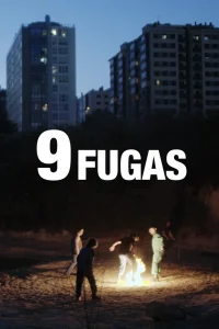 9 فوگ