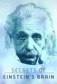 Les secrets du cerveau d'Einstein