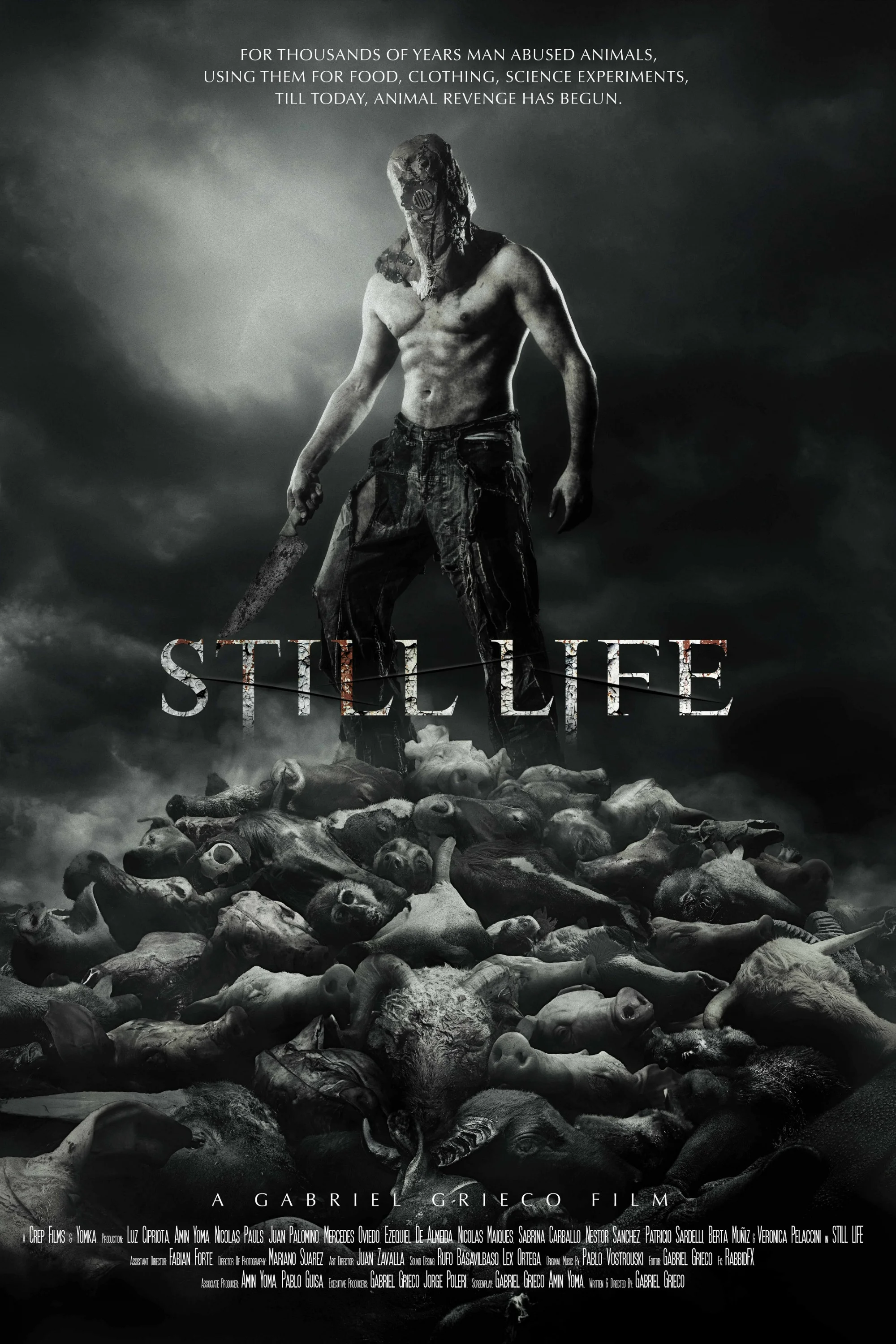 Still Life