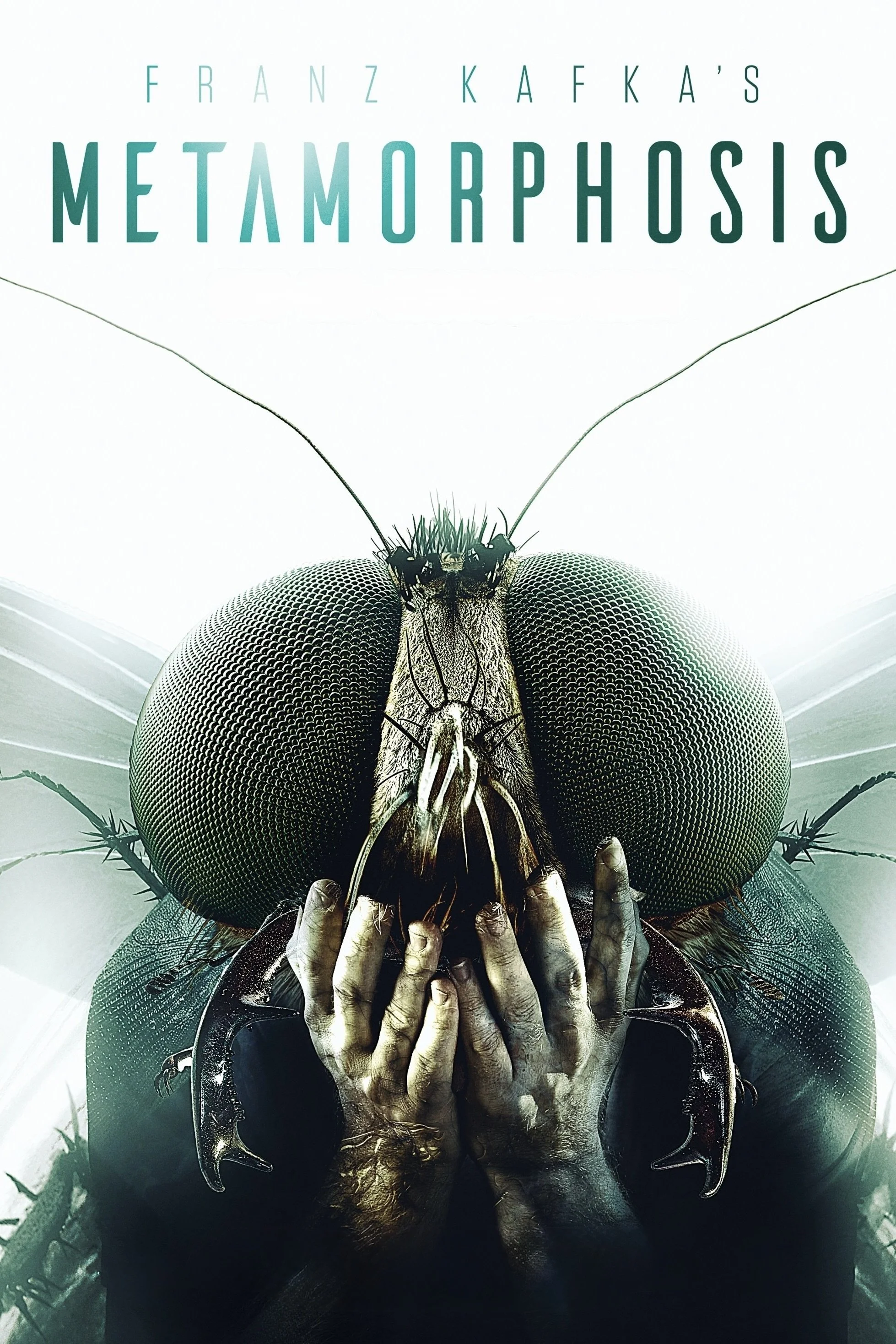 Metamorphosis