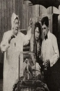 در آرکادیا