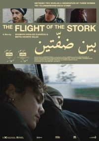پرواز لک لک