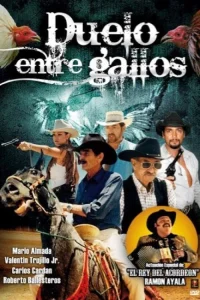 Duelo entre gallos