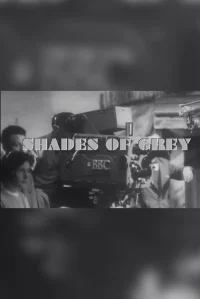 Shades of Grey