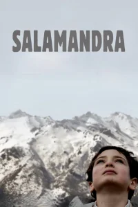 Salamander