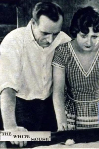 موش سفید