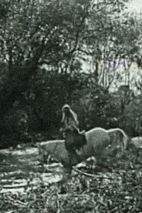 زن سفید