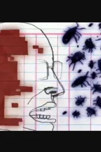 دوگانگی پوشش
