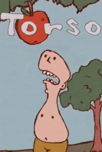 Torso