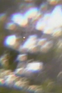 نذار