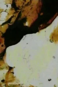 سریال فارسی شمارهٔ ۶
