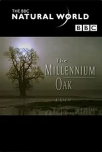 Oak قرن‌ها