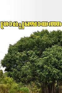 گراما پانتیایت