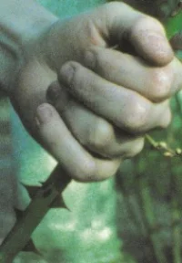 پس از جدایی