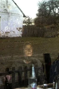 لیندن فلد نود و چهارم