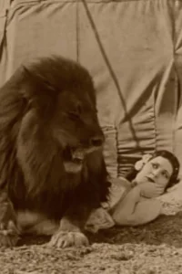 سیرک امروز