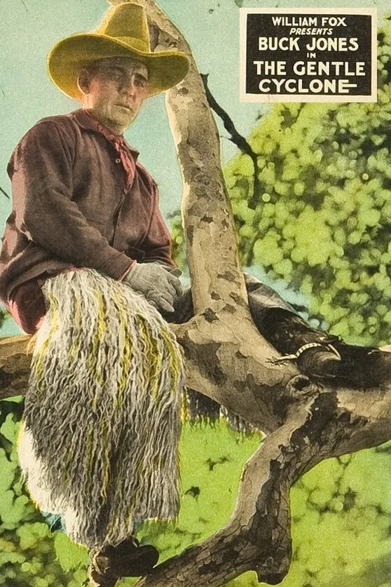 طوفان ملایم