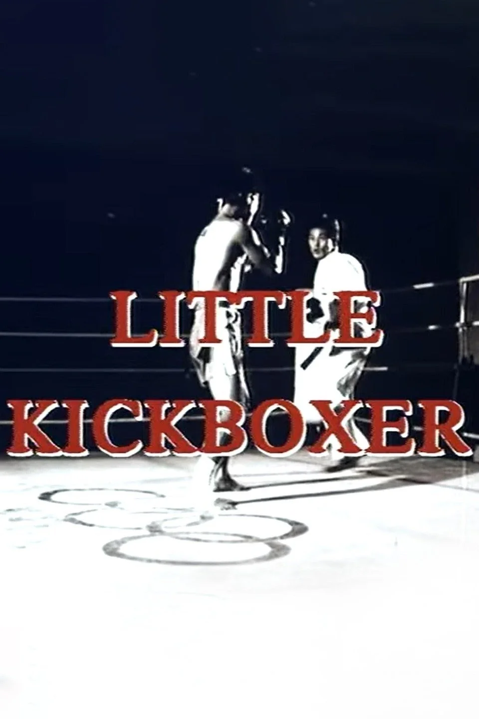 Thunder Ninja Kids: Little Kickboxer