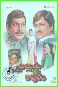 Alludu Diddina Kapuram