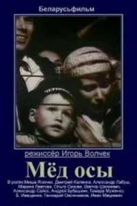 عسل زنبور عسل