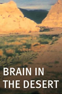 مغز در بیابان