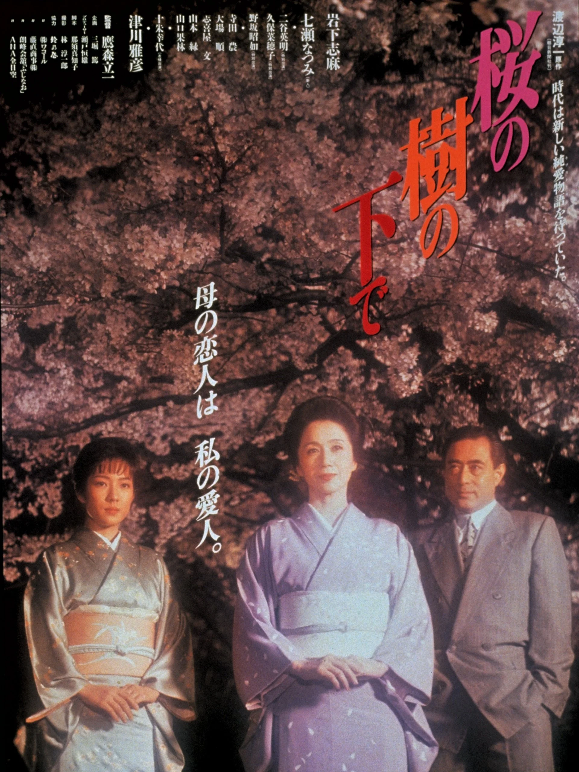 Cherry Blossoms