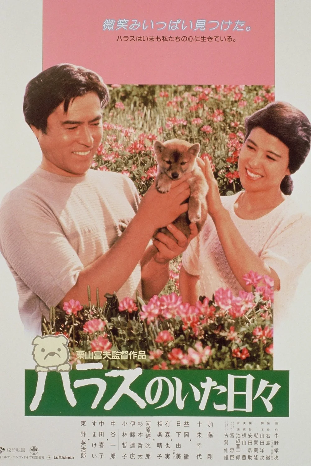 روزها با هاراسو