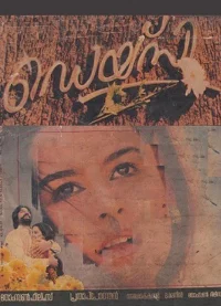 دیزی