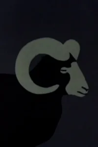 شاهین چنگال