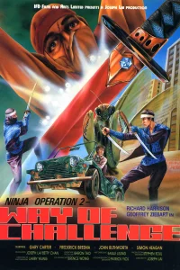 Ninja Operation 2 - Way of Challenge