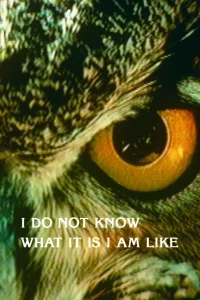I Do Not Know What It Is I Am Like