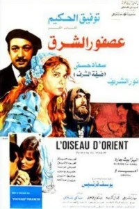 پرندهٔ شرق