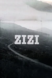 Zizi