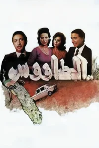 طاووس