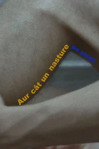 Aur cât un nasture pe piept