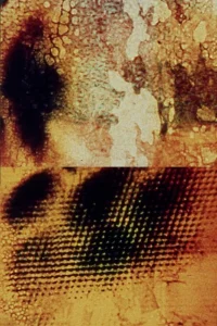 تبعات