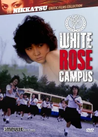 ک Campus رز سفید
