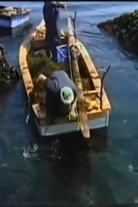 ماه صیادی