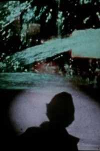 هنر خرد جهانی