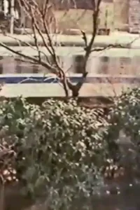 مثلِ قطار که می‌گذرد دو