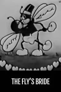 عروس مگس