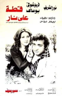 گربه بر آتش