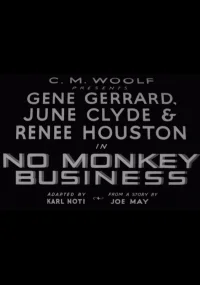 No Monkey Business